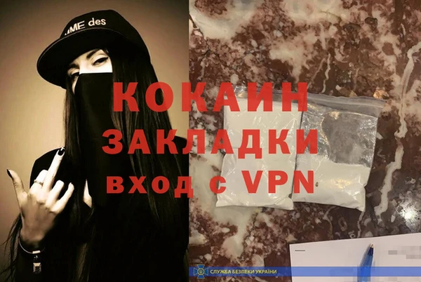 гашик Анива
