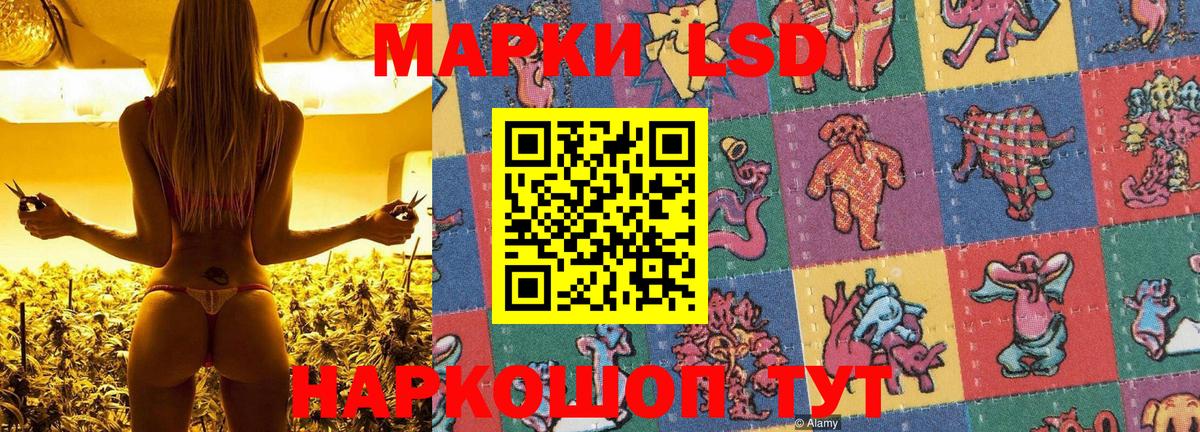 Наркотические марки 1,8мг Топки