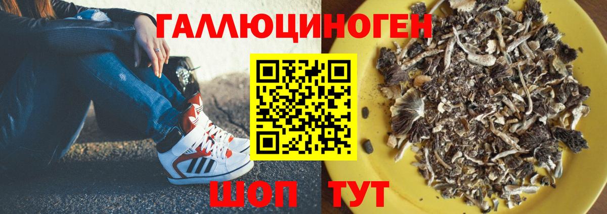 Псилоцибиновые грибы ЛСД Топки