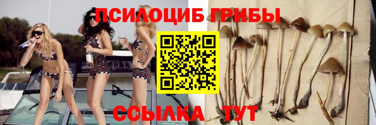 Галлюциногенные грибы Magic Shrooms  Вход с VPN  Галлюциногенные грибы Magic Shrooms  Топки 